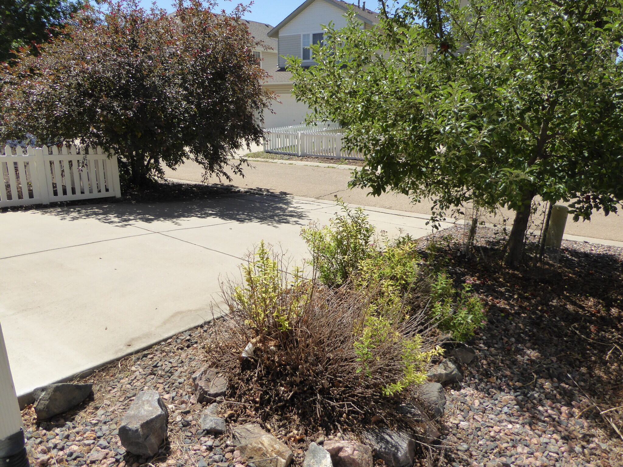 Building Photo - 2227 Brightwater Dr