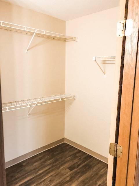 Building Photo - 2106 Stirrup Ln