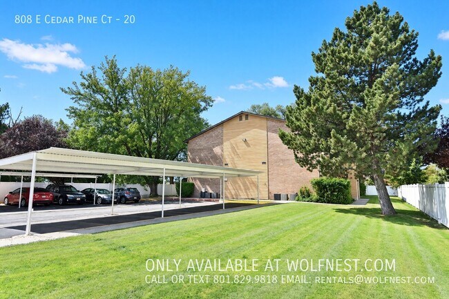 Building Photo - 808 Cedar Pine Ct