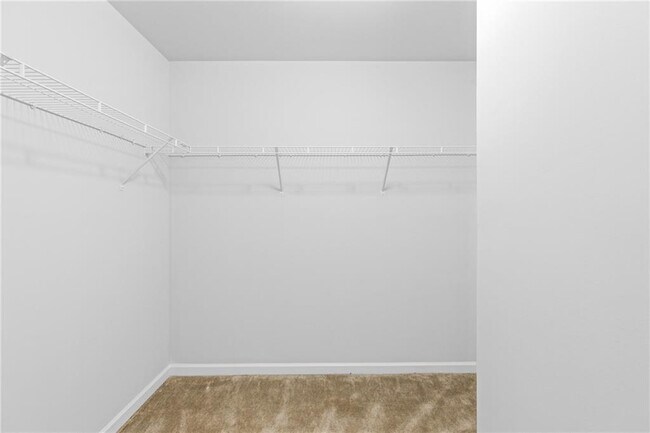 Building Photo - 360 Paulownia Cir