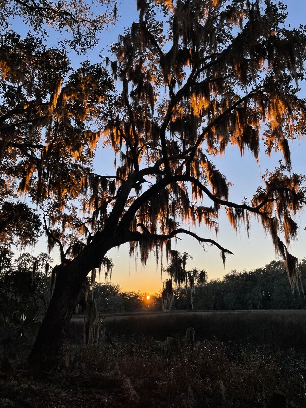 Building Photo - 620 Broad River Dr