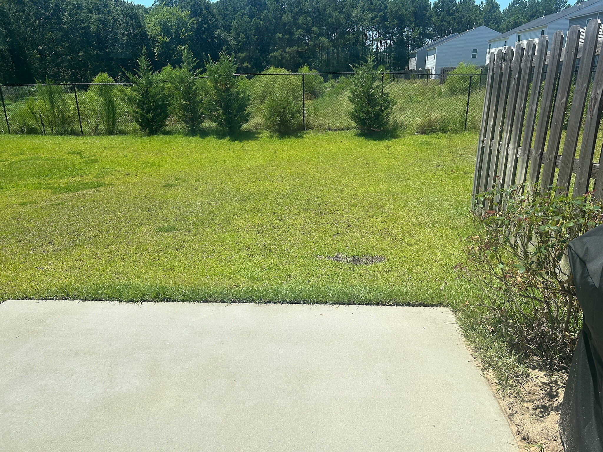 Backyard - 191 Silver Run Pl