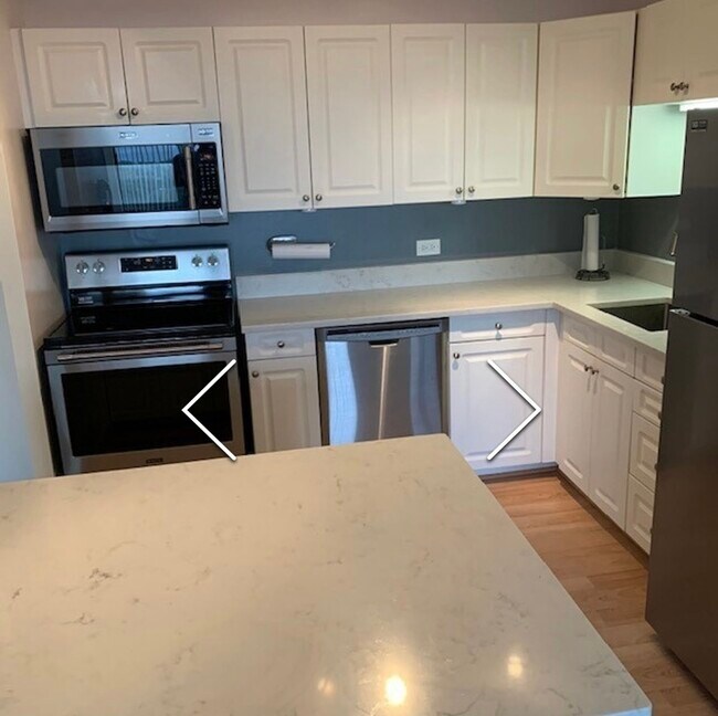Quartz Counters, Stainless Appliances - 3930 N Pine Grove Ave