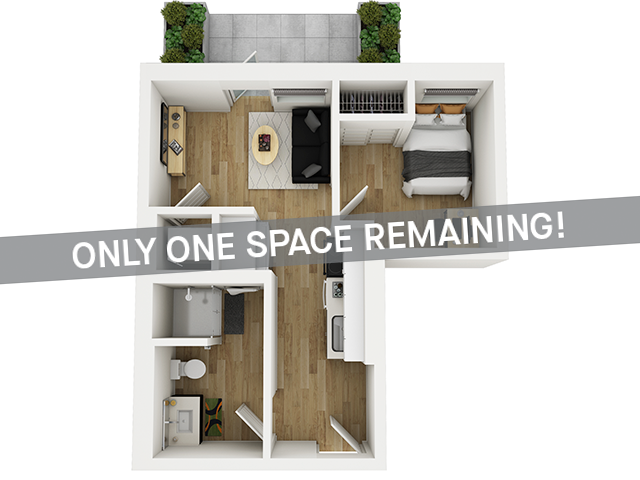 1x1 Junior Courtyard - Only One Space Remaining! - HERE Seattle Student Apartments