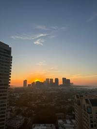 Building Photo - 10501 Wilshire Blvd