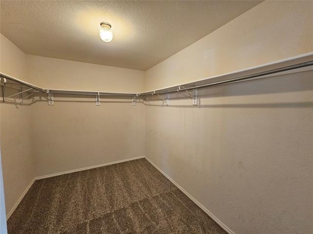 Building Photo - 2408 Finch Dr