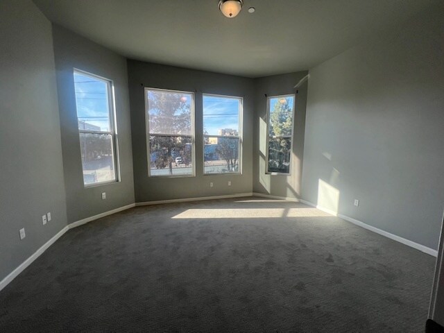 large windows throughout - 402 Webster St