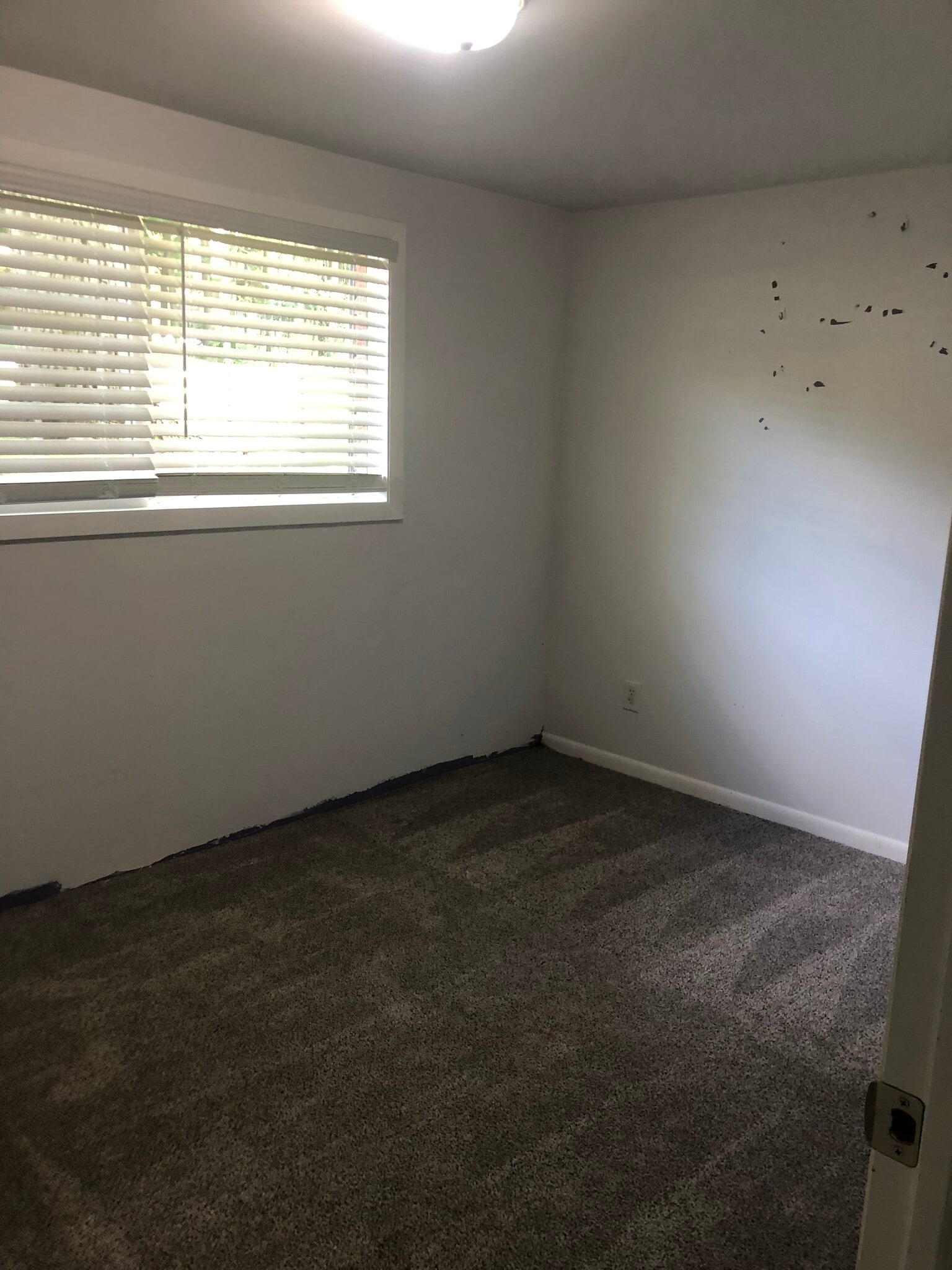 Bedroom 3 - 3243 Hemlock Dr