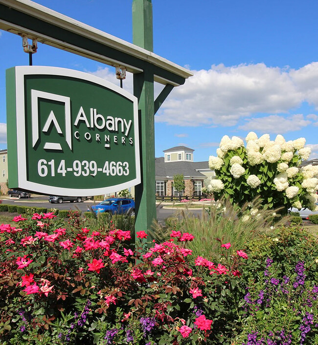 Primary Photo - Albany Corners