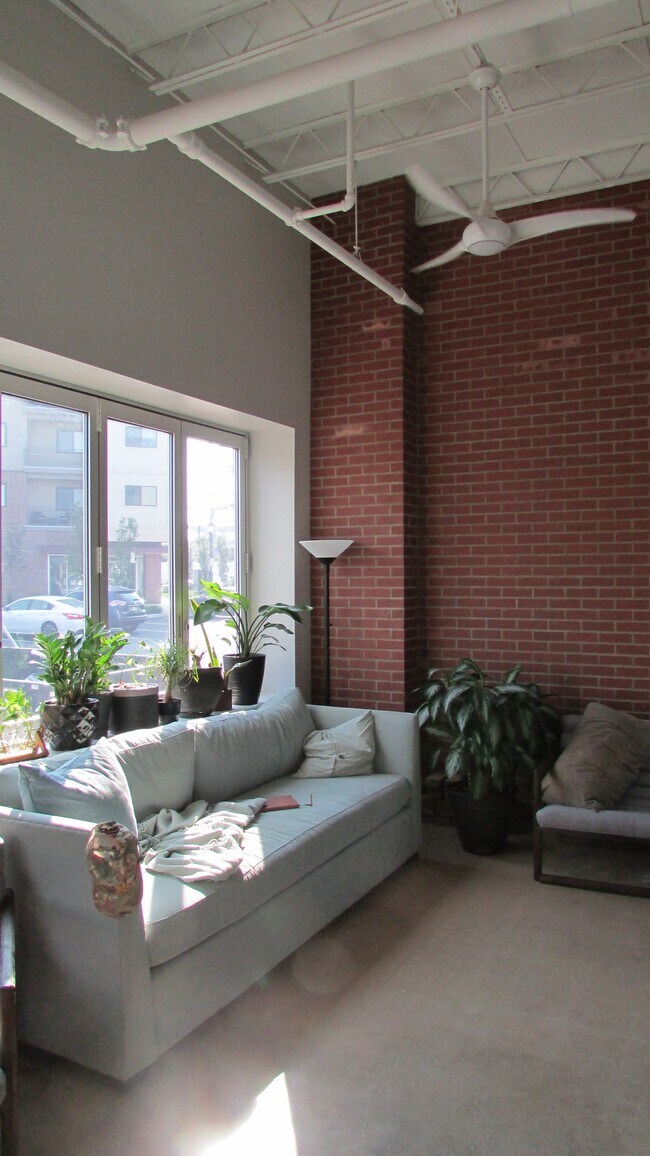 #100 Living Room - Botany Apartments