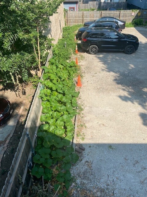 Pumpkin patch in your garden area. - 1730 N Franklin Pl