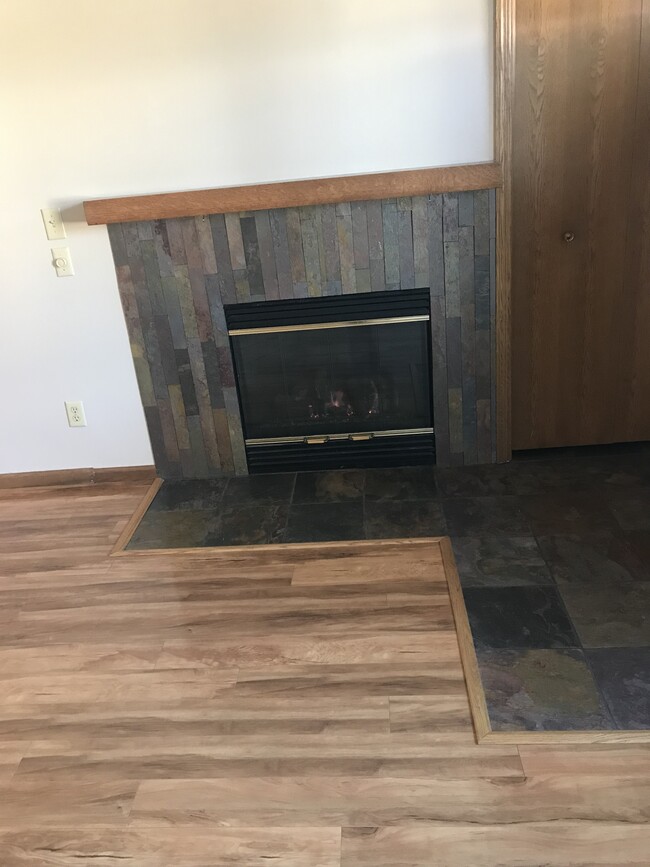 Slate-faced gas fireplace also has fan for heat! - 8524 S Maplebrook Circle