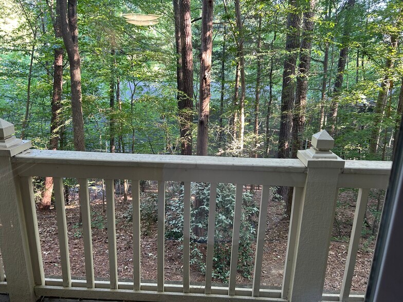 View from balcony - 708 M.L.K. Jr Blvd