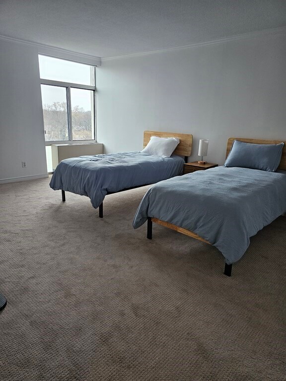 Building Photo - 221 Mt Auburn St