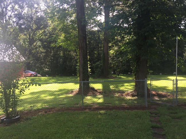 View of Rear Yard - 5138 Raymond Rd