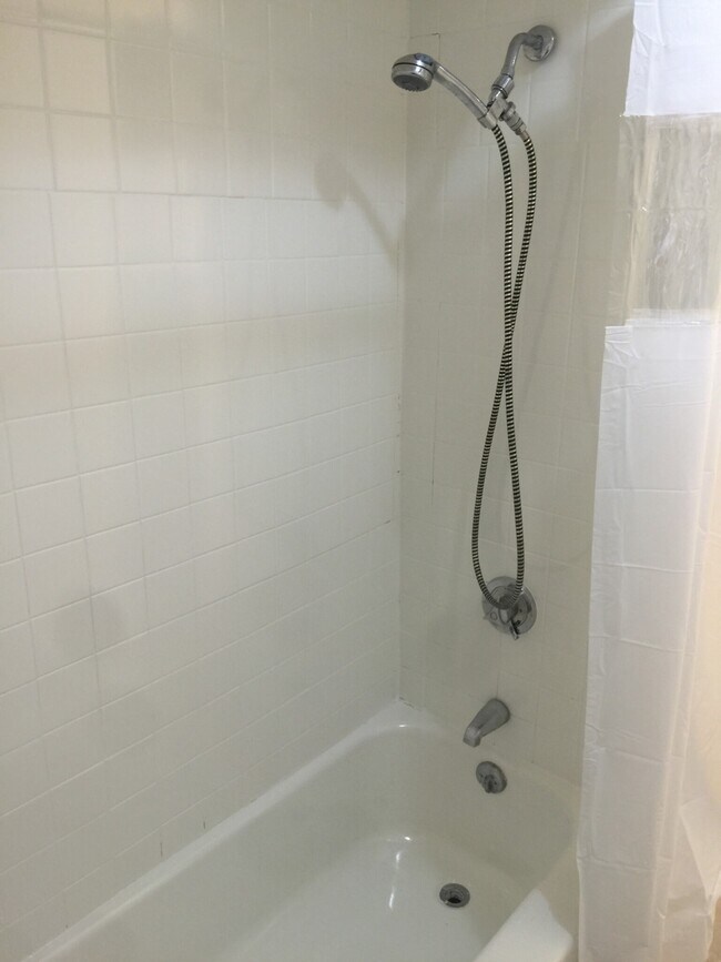 Building Photo - 1135 Commonwealth Ave