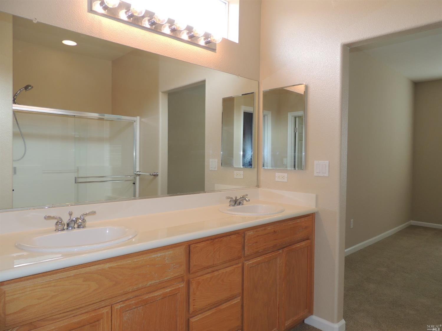 Master bathroom - 545 Birch Ridge Drive