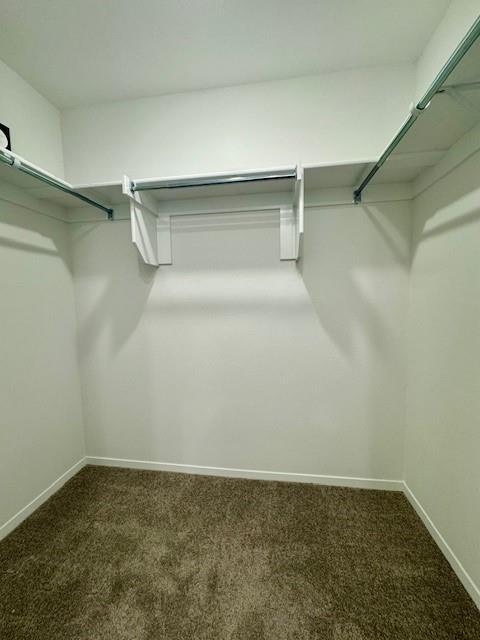 Building Photo - 6810 Memphis