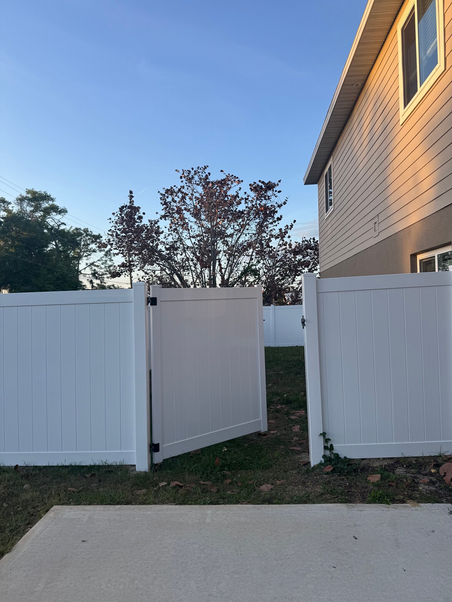 Building Photo - 1149 Sycamore St