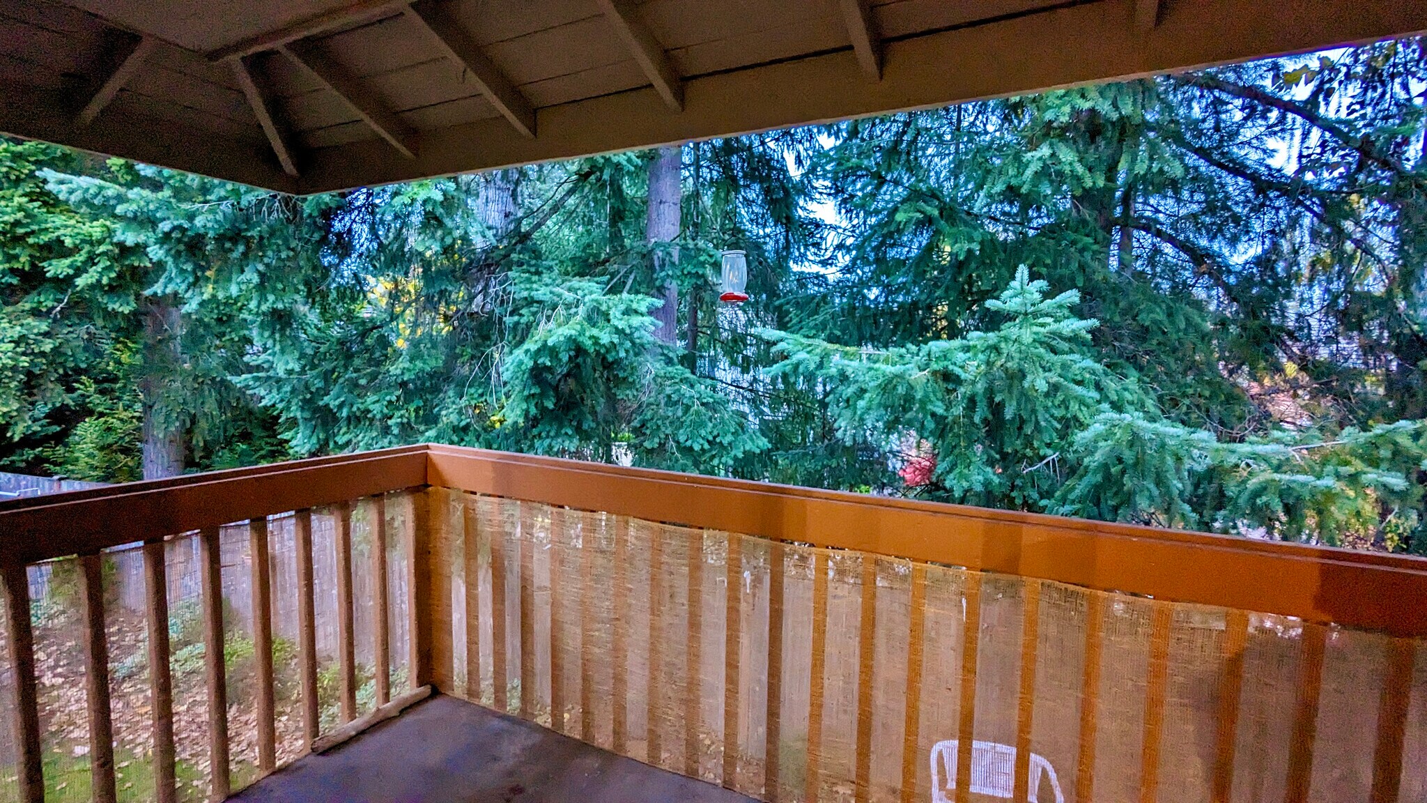 Quiet Deck - 17108 Northeast 45th Street