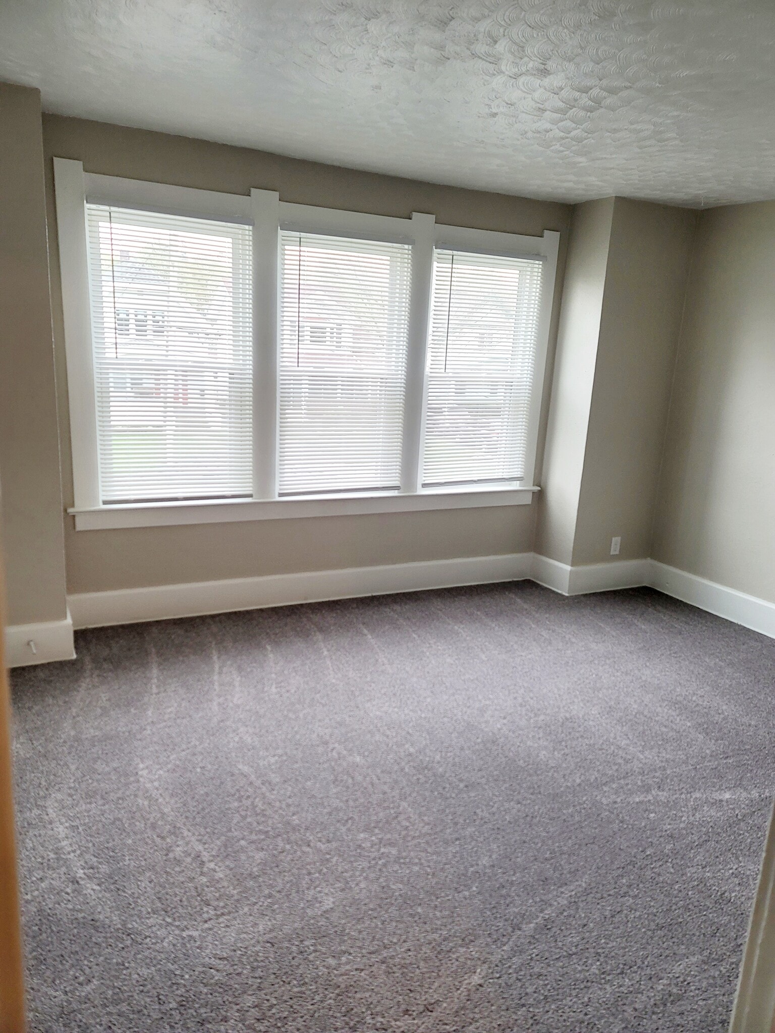 Living room - 3933 Homewood Ave