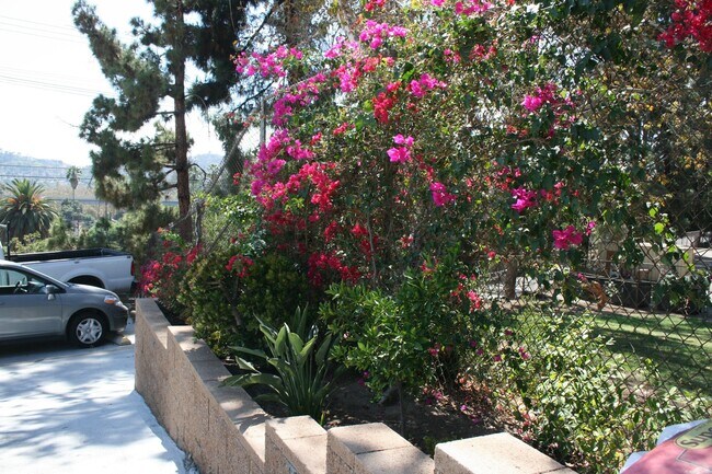 Building Photo - Large Studio close to DTLA, Pasadena, Glen...