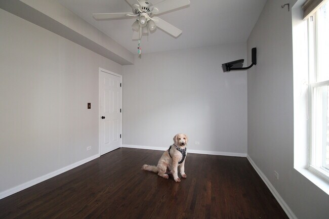 Building Photo - 1517 W Jonquil Terrace