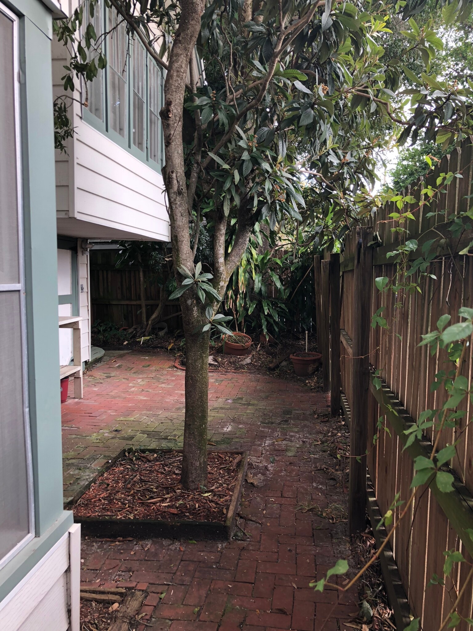 Patio - 1674 21st Ave N