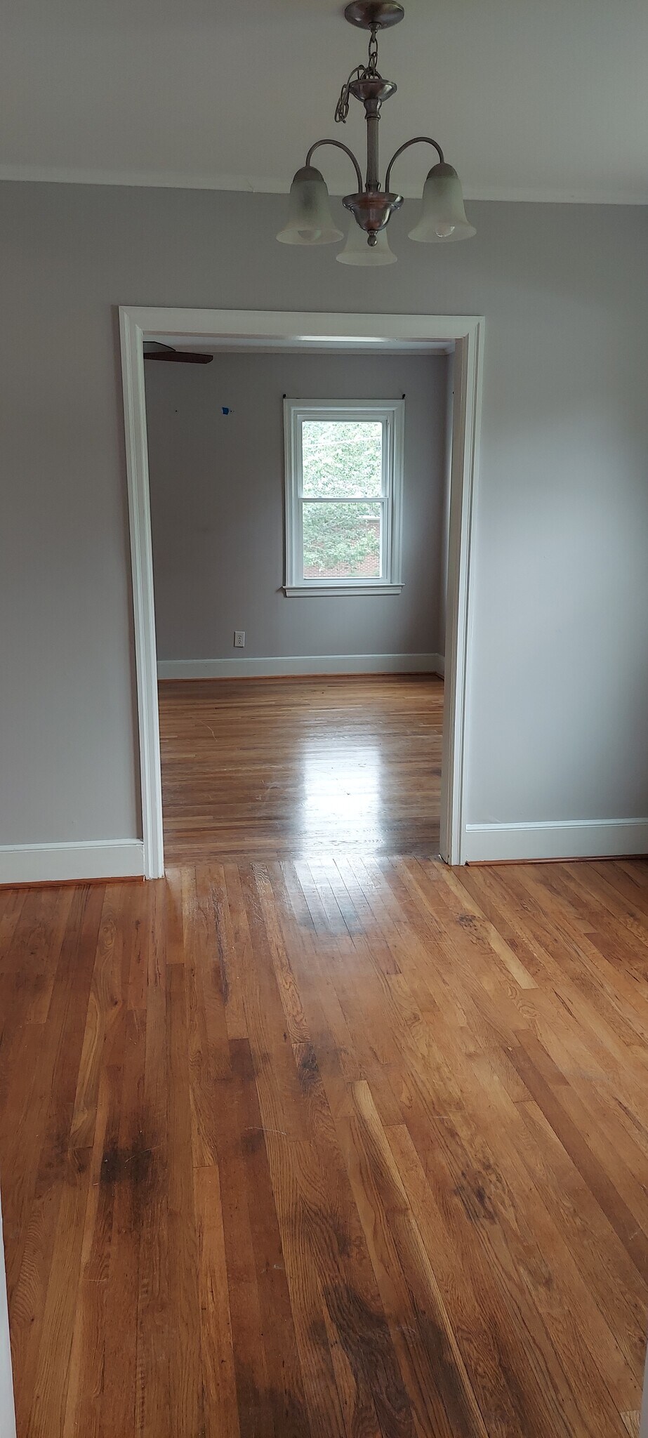 dinning room leading into Livingroom - 907 Cherry Ln