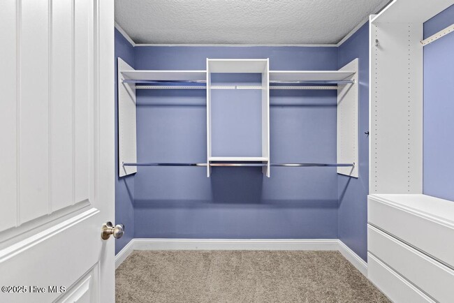 Building Photo - 503 Black Pearl Cir