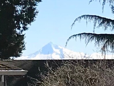 view of hood - 703 SE 70th Ave