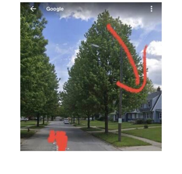 Building Photo - 17100 Maple Heights Blvd