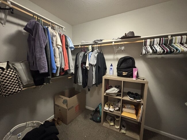 Building Photo - Gorgeous 3 Bedroom 2 Bathroom House!