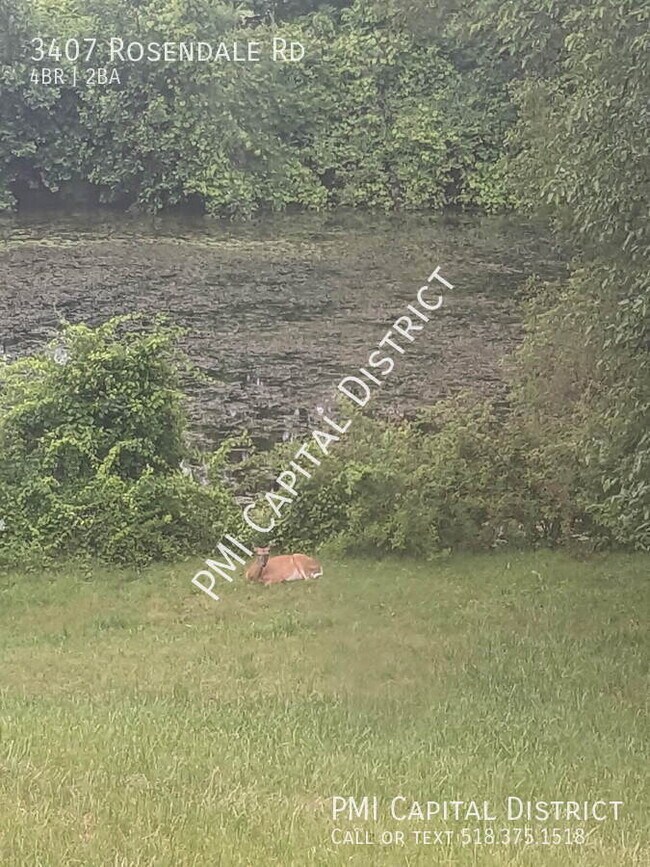 Building Photo - 3407 Rosendale Rd