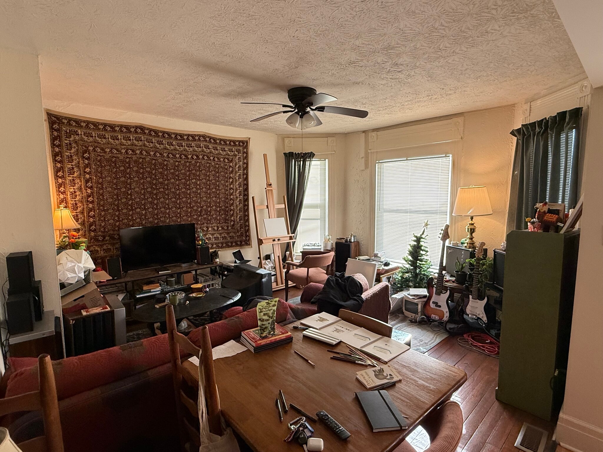 Living Room - 305 E Maxwell St