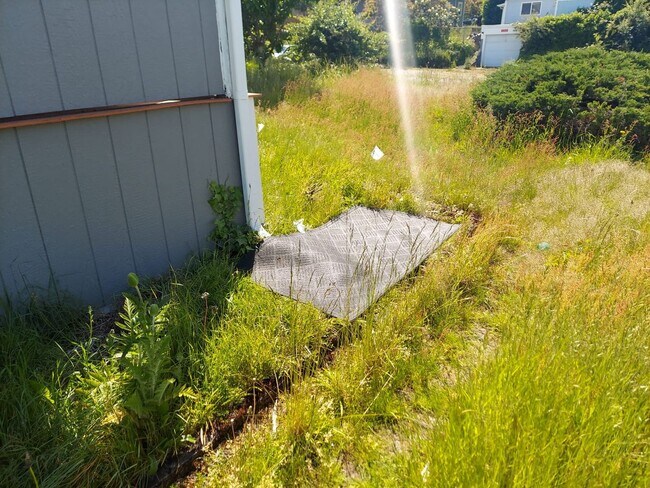 Building Photo - Charming Tacoma Home on a Peaceful Corner Lot!