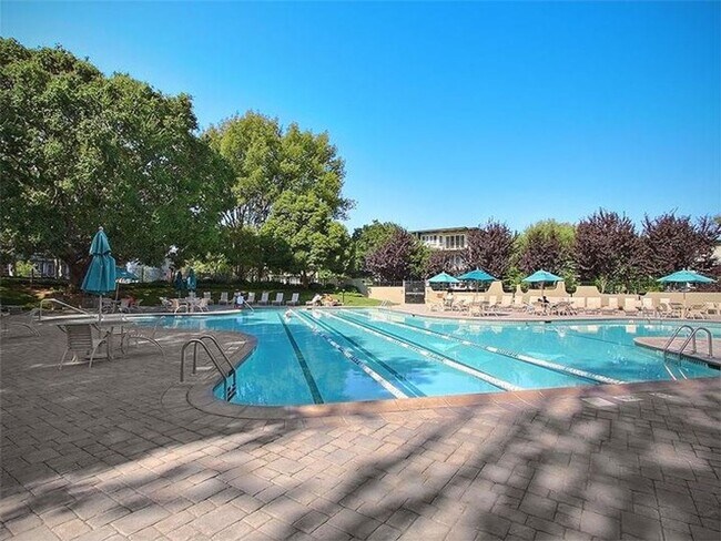 Building Photo - Southern Facing  1bd/ 1 bth apartment!