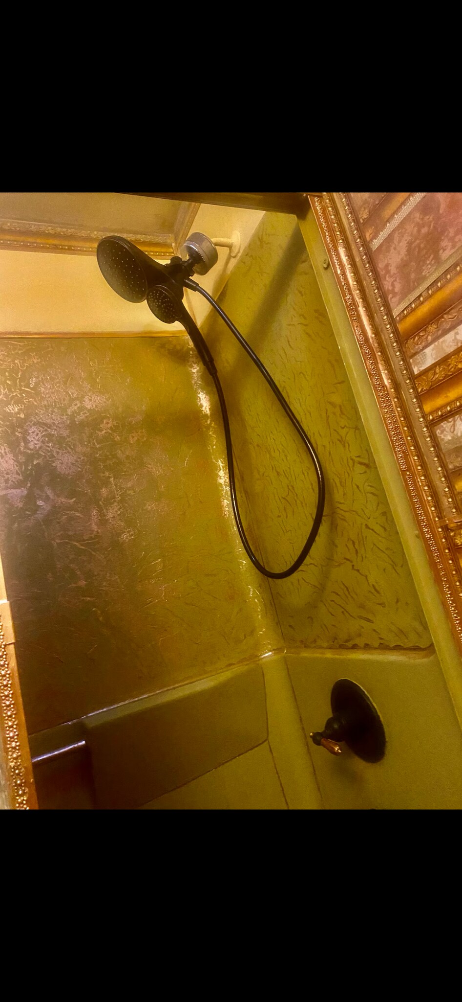 Filtered double shower - 1131 Lakeshore Dr