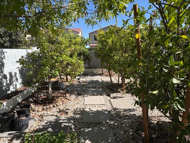 Building Photo - 1180 E Saddleback Pl