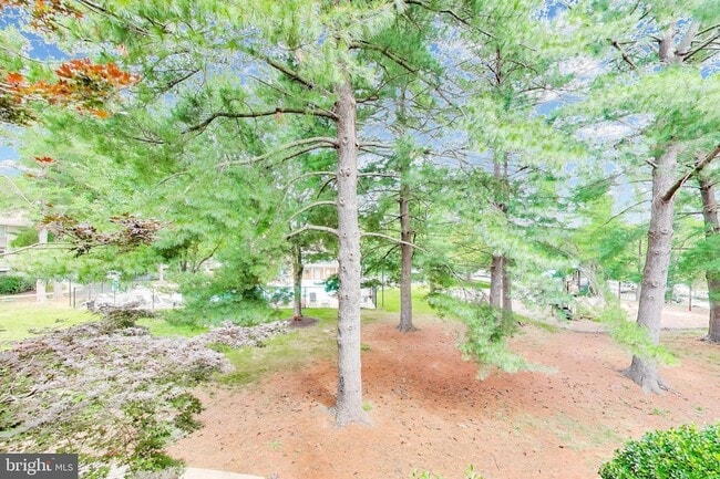 Building Photo - 13117 Wonderland Way