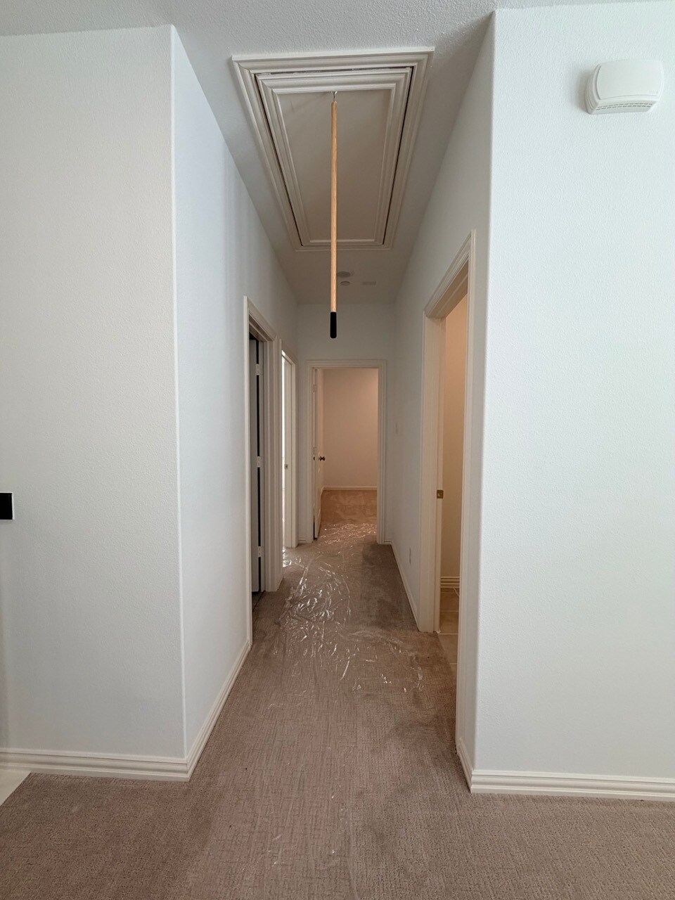 hallway and attic access - 4729 Spinner St