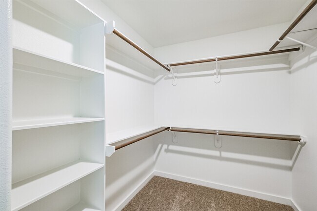 Building Photo - 3623 Pathfinder Ct
