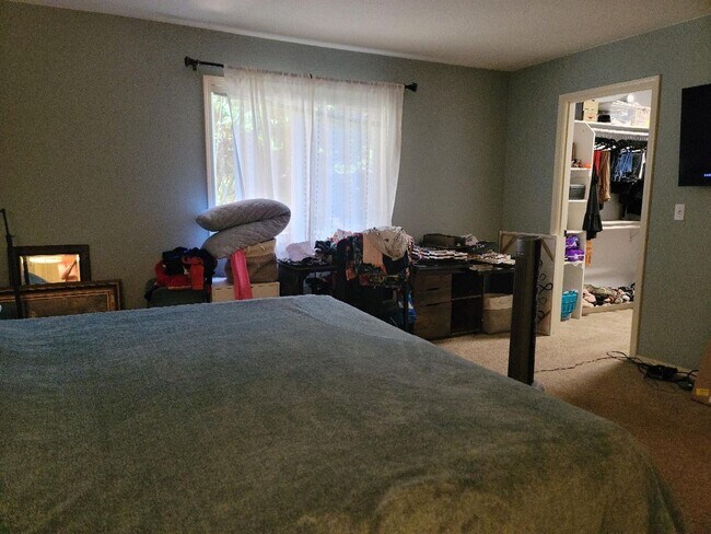 Building Photo - 3 Bedroom Port Ludlow Rambler