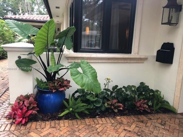 Building Photo - 721 Tibidabo Ave