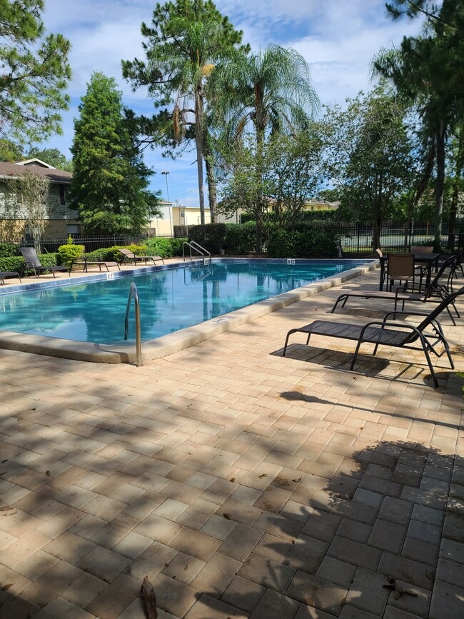 Pool - 222 Thorntree Pl