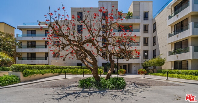 Building Photo - 701 Ocean Ave