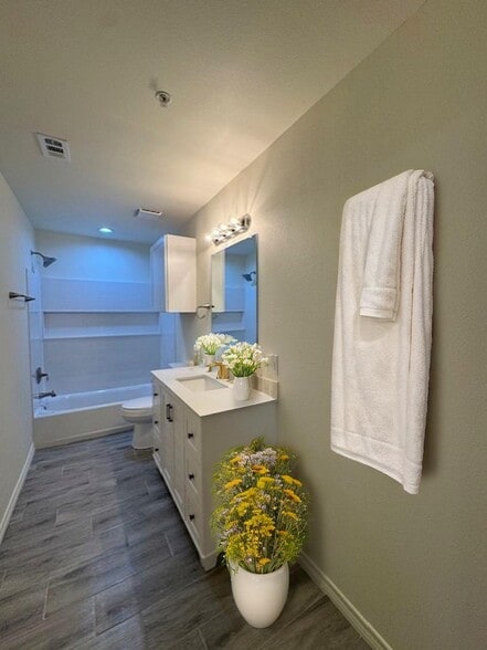 3 Bedroom Master Bath - Chance's Court Apartments
