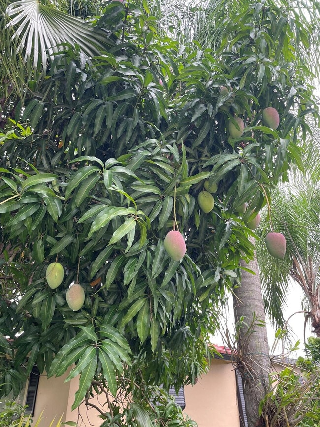 Building Photo - 4401 NW 43rd Ave