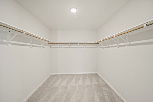 Building Photo - 312 Lippizan Dr