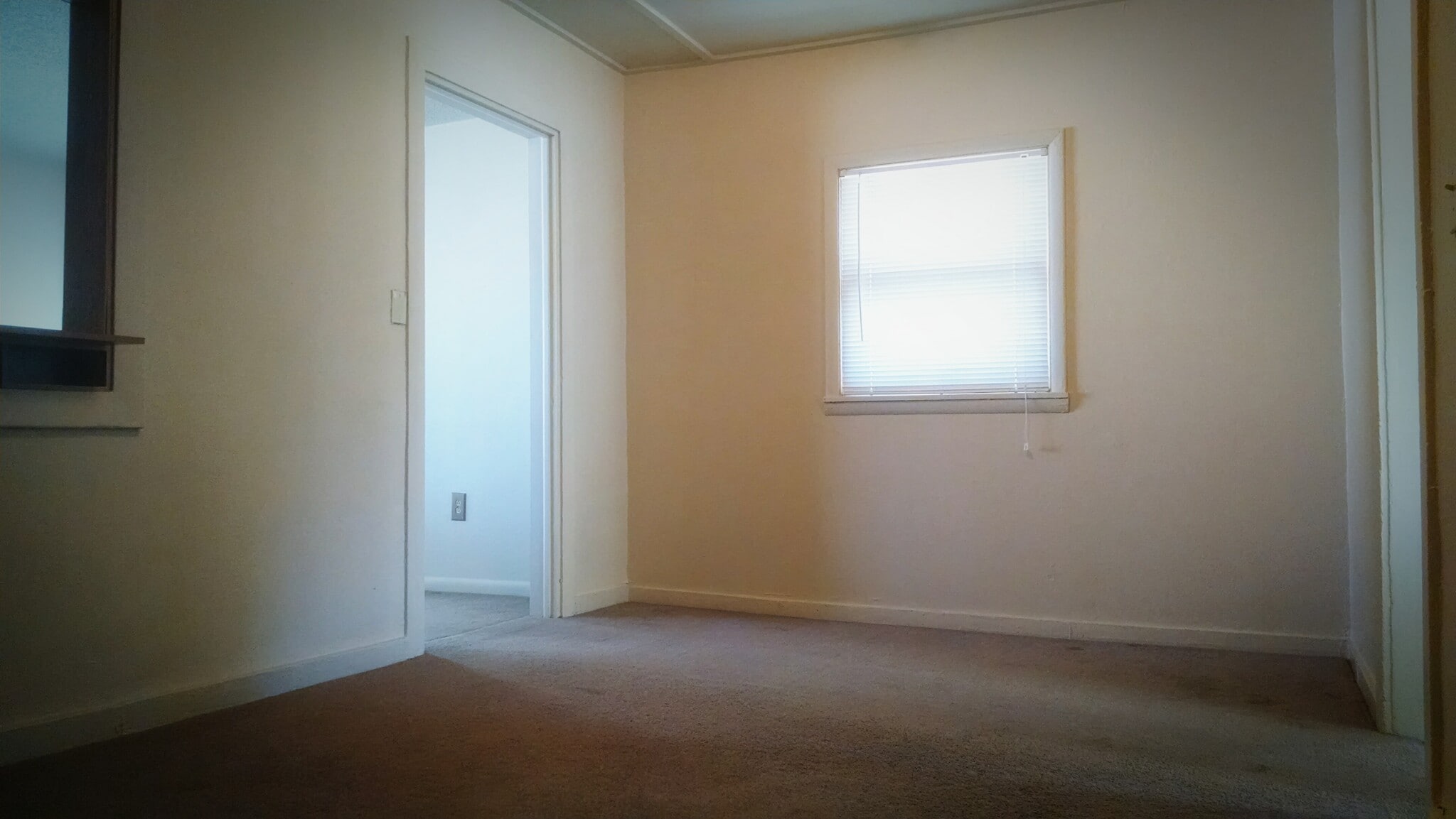 Dining Room (Pic 1) - 111 Washington Avenue